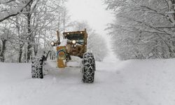 Ordu'nun yüksek kesimlerinde kar kalınlığı 1,5 metreye ulaştı