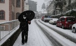 Orta ve Doğu Karadeniz'de kar nedeniyle 541 yerleşimin yolu kapandı