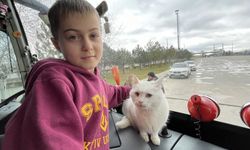 Rusya'nın savaş açtığı Ukrayna'dan 16 yaşındaki kedileri "Kar"ı da getirdiler