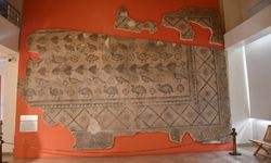 Sivas'ta ahır tabanında bulunan mozaik, müzenin duvarını süslüyor
