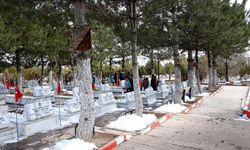 Sivas'ta mahkumların yaptığı kuş yuvaları, şehitlikteki ağaçlara asıldı