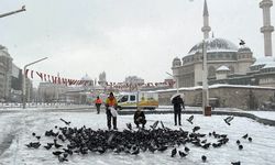 Taksim Meydanı'ndaki güvercinlere Beyoğlu Belediyesince yem verildi