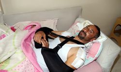 TOKAT - Domuz saldırısı sonucu yaralanan kişi tedavisinin ardından taburcu edildi