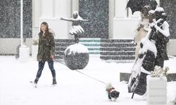 VAN - Kar yağışı hayatı olumsuz etkiledi