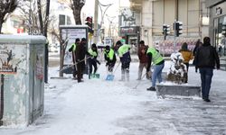 Van'da belediye ekipleri karla mücadeleyi halaylarla eğlenceye dönüştürdü