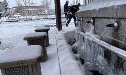 Yoğun karın etkisini sürdürdüğü Doğu Anadolu'da ilkbaharda kış mevsimi yaşanıyor