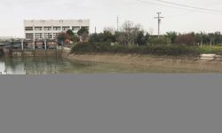 Adana'da kayıp kişi sulama kanalında ölü bulundu