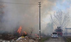 Antalya'da sazlık alanda çıkan yangın söndürüldü