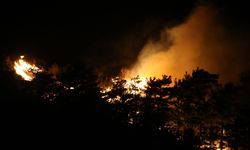 ÇANAKKALE - Orman yangınına müdahale ediliyor