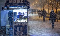Erzurum, Ardahan ve Kars'ta kar yağışı etkili oldu