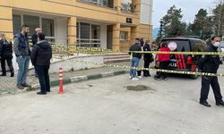 KOCAELİ - İki kişinin yaralandığı kaza Anadolu Otoyolu'nda ulaşımı aksattı