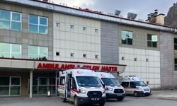 Giresun'da öğrenci servisi devrildi, 8 kişi yaralandı