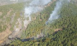 GÜNCELLEME - İzmir'in Ödemiş ilçesindeki orman yangını kontrol altına alındı