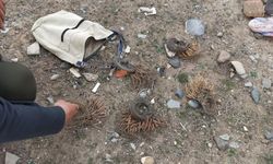 Iğdır'da ses cihazıyla avlanan 2 avcıya 15 bin lira ceza kesildi