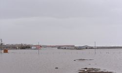 EDİRNE - Şantiye havuzundan sızan asfalt tarım alanına yayıldı