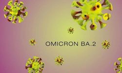 Omicron'un alt varyantı BA.2 risk oluşturuyor mu?