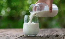 Tarım ve Orman Bakanlığı Süt ve Krema için yeni karar