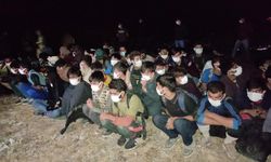 Van'da düzensiz göçmen kaçakçılığı yapan 355 organizatör yakalandı