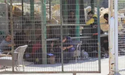 Şok iddia! Datça'da mülteciler kafese kapatıldı