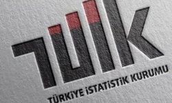 Türkiye İstatistik Kurumu 14 sözleşmeli bilişim personeli alacak