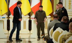 Ukrayna'nın mayın koklama köpeği Patron'a ödül verildi