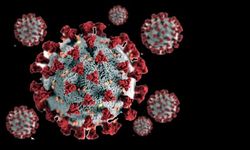 Korona virüsün dünya çapında yayılmasıyla ilgili son durum