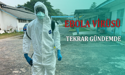 Ebola virüsü tekrar gündemde