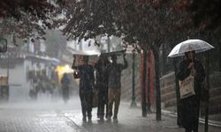 AFAD'dan Doğu Karadeniz için 'kuvvetli yağış' uyarısı!