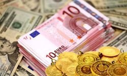 TCMB döviz kurları; Dolar ve Euro'da son durum