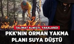PKK'nın orman yakma planı suya düştü