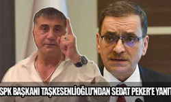 SPK Başkanı Taşkesenlioğlu'ndan Sedat Peker'e yanıt