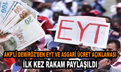 AKP'li Demiröz'den EYT ve asgari ücret açıklaması: İlk kez rakam paylaşıldı