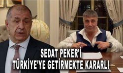Ümit Özdağ, Sedat Peker'i Türkiye'ye getirmekte kararlı