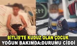 Bitlis'te kuduz olan çocuk yoğun bakımda: Durumu ciddi
