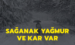Birçok kentte kar yağışı etkili olacak! İstanbul, Ankara ve İzmir'de hava durumu