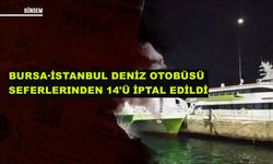 Bursa-İstanbul deniz otobüsü seferlerinden 14'ü iptal edildi