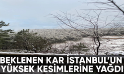 Beklenen kar İstanbul'a geldi Aydos Dağı beyaza büründü