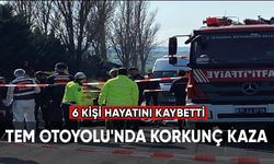 TEM Otoyolu'nda korkunç kaza: 6 kişi hayatını kaybetti