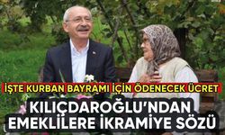 Kılıçdaroğlu'ndan emeklilere bayram ikramiyesi sözü: İşte o miktar