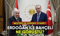 Erdoğan ile Bahçeli'den sürpriz görüşme: Ne konuştular?