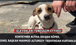 Konteyner altına sıkışan köpek, Genel Başkan Mahmud Altunsoy tarafından kurtarıldı