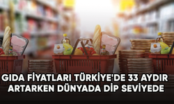 Gıda fiyatları Türkiye'de 33 aydır artarken dünyada dip seviyede