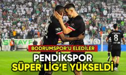 Süper Lig'e yükselen son takım Pendikspor oldu
