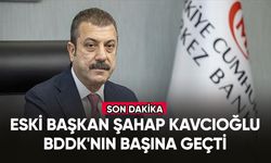 Şahap Kavcıoğlu, BDDK'nın başına geçti