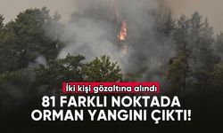 81 farklı noktada orman yangını çıktı! İki kişi gözaltına alındı