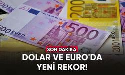 Dolar ve Euro'da yeni rekor!