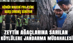Kömür madeni projesine karşı direniş sürüyor: Zeytin ağaçlarına sarılan köylülere jandarma müdahalesi