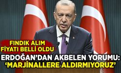Erdoğan'dan Akbelen yorumu: 'Marjinallere aldırmıyoruz'