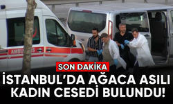 İstanbul'da ağaca asılı kadın cesedi bulundu!