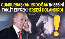 MİT, Cumhurbaşkanı Erdoğan'ın sesini taklitle dolandırıcılık yapan kişiyi yakalattı!